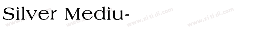 Silver Mediu字体转换